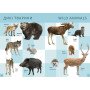 Первая книга малыша/Baby's first book (украинский/английский язык)