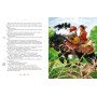 100 казок. Найкращі українські народні казки 1 том