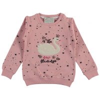 Свитшот Roya Girl Розовый Начес 110 116 размер на девочку 4-5-6 лет