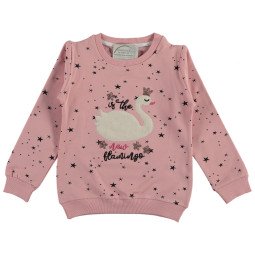Свитшот Roya Girl Розовый Начес 110 116 размер на девочку 4-5-6 лет