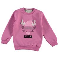 Теплый (трехнитка) свитшот Santa 110 размер на девочку 4-5 лет