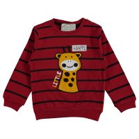 Тонкий червоний светр Canix Ziraffe 98